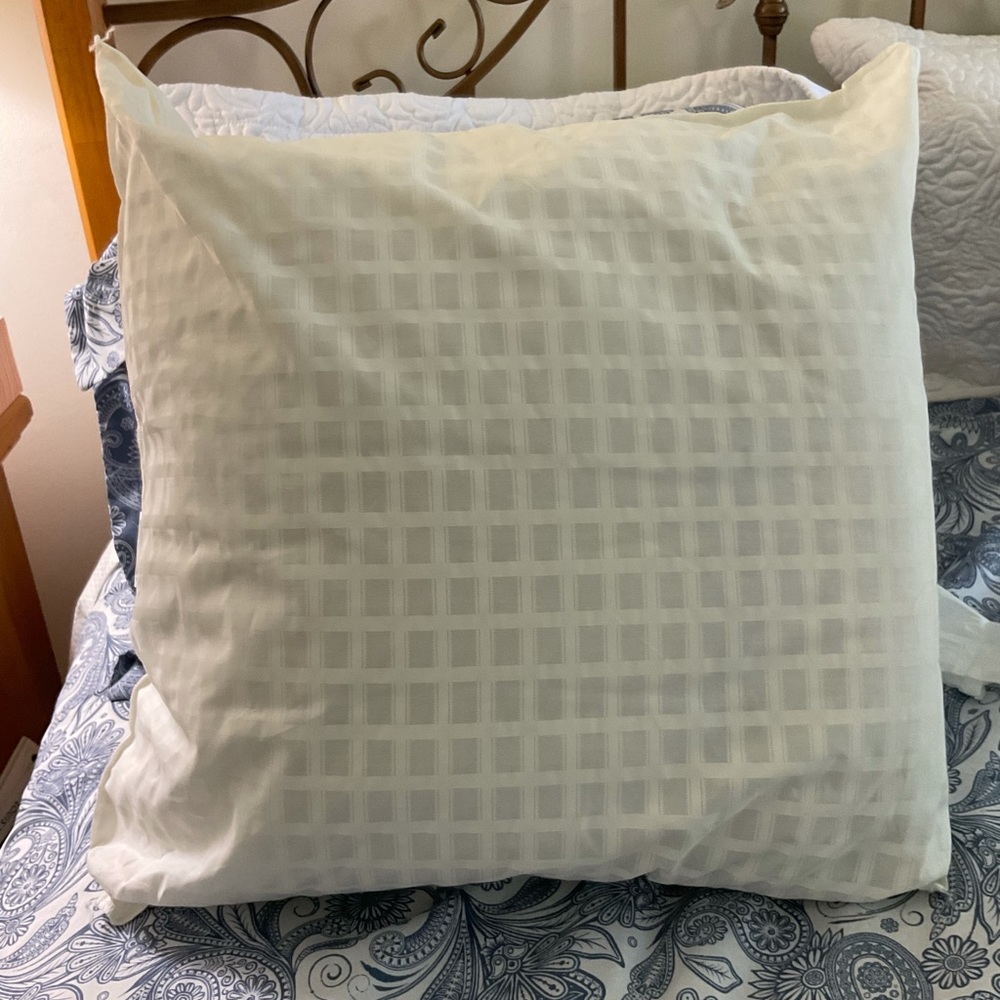 PAIR of Euro Pillow 24 inch sq, 7 inch deep